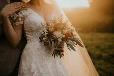 WED_JR_1232